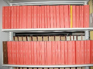 La regulación y sus efectos en la acción humana