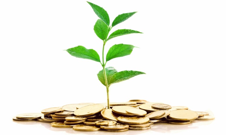 No diga “capitalismo”